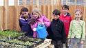 Paul Banks students get growing in a new greenhouse